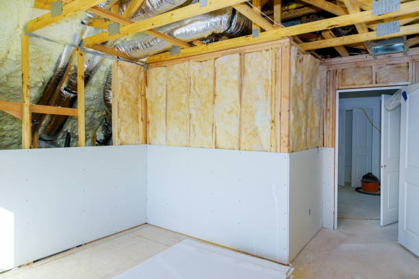 Best Wall Insulation Installation  in Channahon, IL